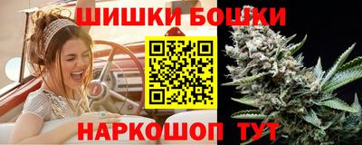 стаф Кингисепп