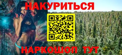 стаф Кингисепп