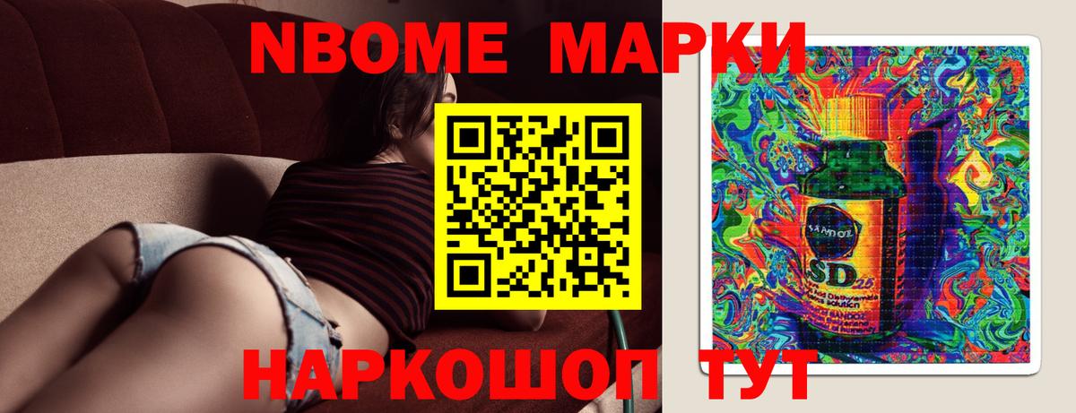 Курчатов  hydra маркетплейс  LSD-25 экстази ecstasy  Вход с VPN  ЛСД экстази ecstasy 