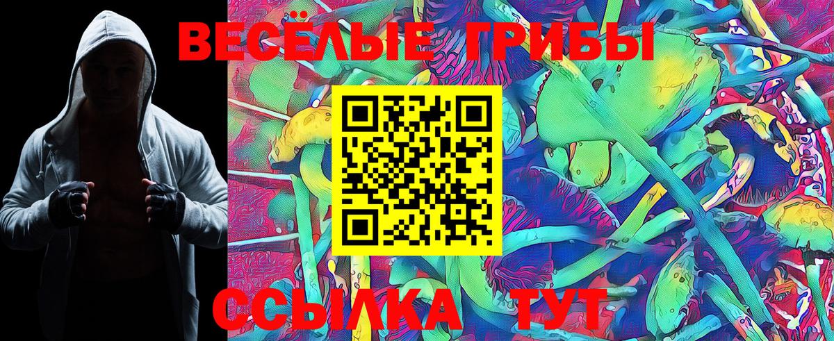 Псилоцибиновые грибы GOLDEN TEACHER  Вход с VPN  Курчатов 