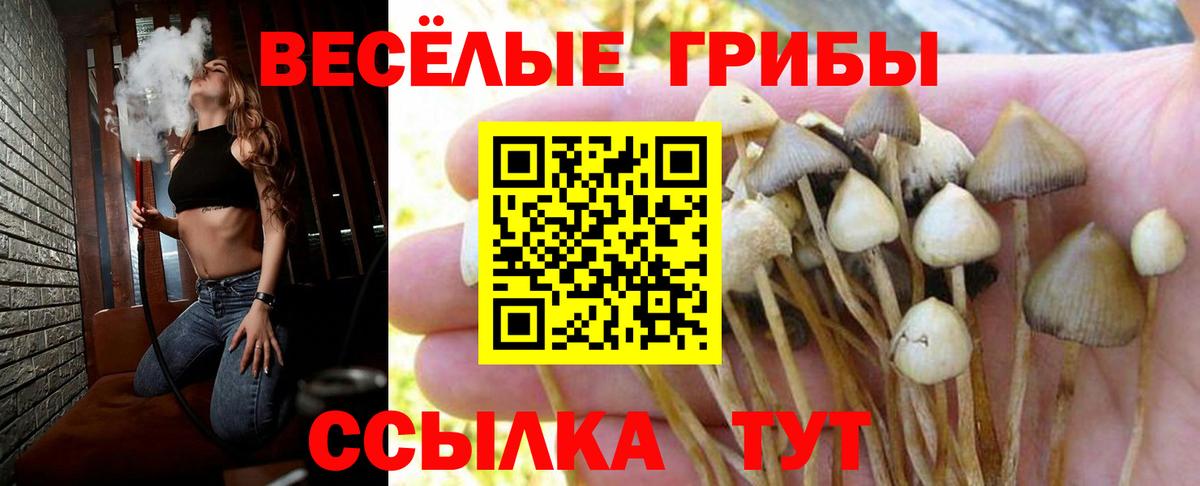АМФЕТАМИН Курчатов